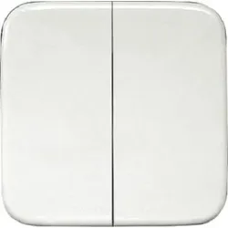 Eltako Doppelwippe weiss/alpinweiss für Funktaster 55x55mm für Reflex/Duro DW-FT55R-@
