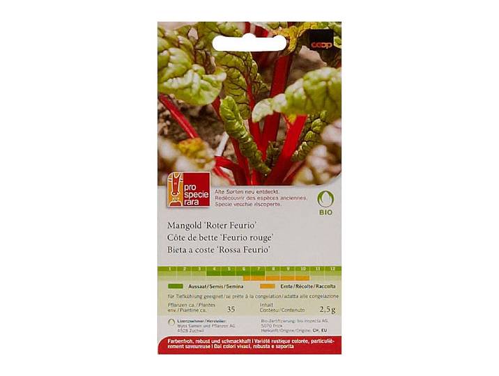 ProSpecieRara Bio Mangold Roter Feurio