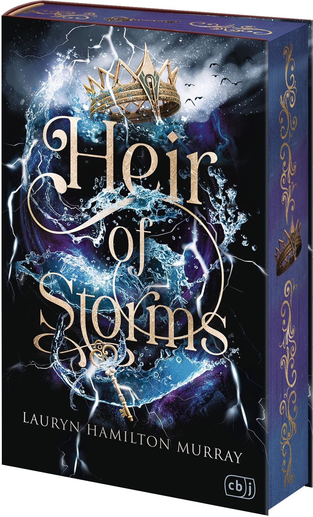 Heir of Storms: DAS Court-Fantasy-Debüt des Jahres: Gefährliche Magie, verbotene Liebe und ein mörderischer Wettstreit um den Thron. Mit königlichem ... Auflage (Die Storm-Weaver-Reihe, Band 1) - Preis vom 09.10.2026 07:28:09 h