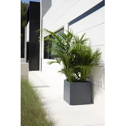 Herstera Metall Pflanzkübel, Blumentopf "Cube" quadratisch,anthrazit,70 x 70 x 70 cm (L x B x H)