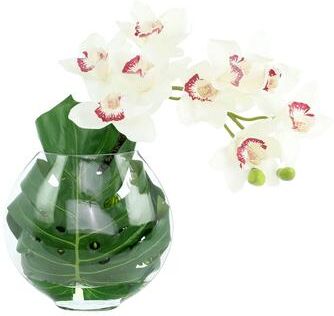 Creative Labs Orchid and Philodendron Arrangement - 18