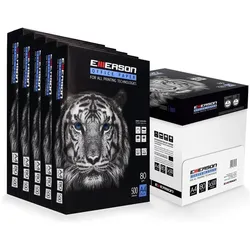 PRO-mounts, Kopierpapier, Papier xero A4 80g Karton - 5 Ryz (A4, 500 Blätter, 80 g/m2)