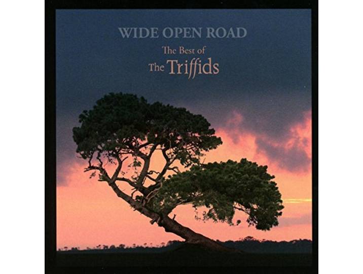 The Triffids - Wide Open Road The Best Of The Trif