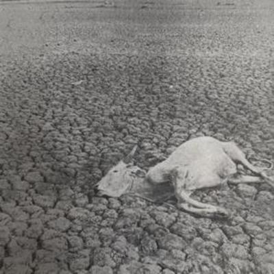 Vukari: Omnes Nihil - Vukari, CD