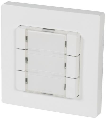 HOMEPILOT 12501006 Funk Wandtaster Aufputz