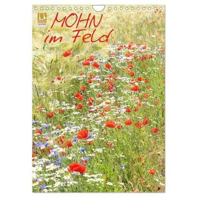 Mohn im Feld (Wandkalender 2027 DIN A4 hoch), CALVENDO Monatskalender