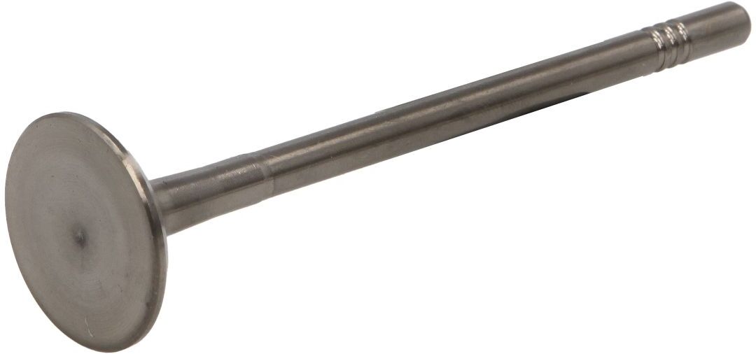Einlassventil KOREA O70320OEM
