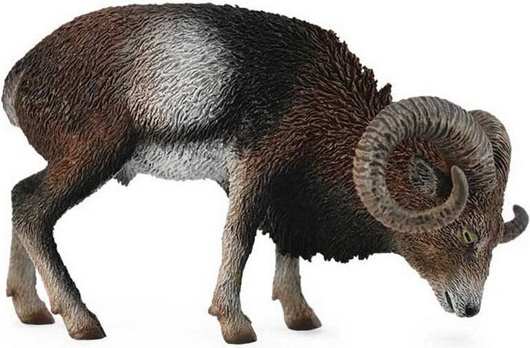 Collecta Europees moeflon dierenfiguur