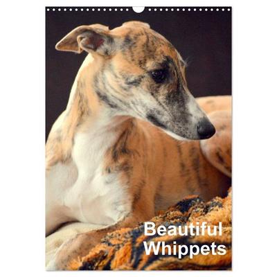 Beautiful Whippets (Wall Calendar 2026 DIN A3 portrait), CALVENDO 12 Month Wall Calendar