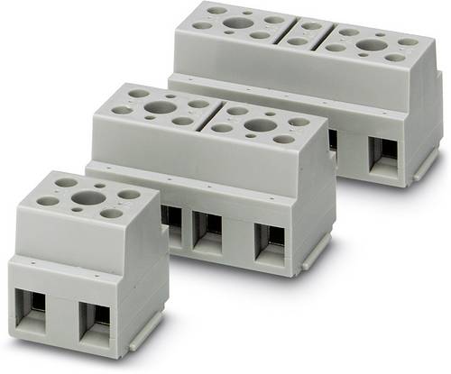 Schraubklemmblock Grau Phoenix Contact 10 St.