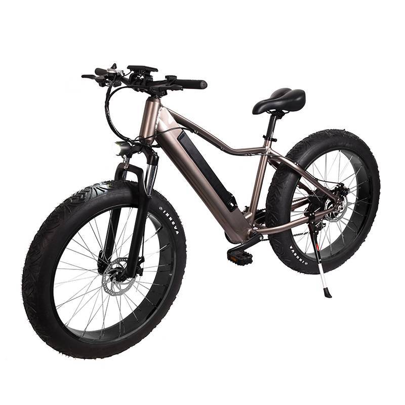 E-Fatbike "Rock Cruzer" 25 km/h Elektrofahrrad 250W 85Nm herausnehmbarer Akku E-Bike Mountainbike Fahrrad Fat Bike