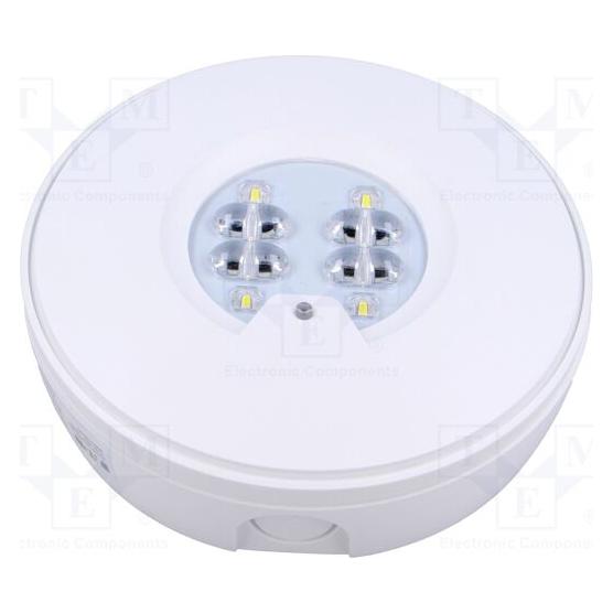Eaton Oprawa awaryjna Roundtech natynkowa eFocus 200lm MNM 1H IP65 RT2SSEO200STF1HIP (RT2SSEO200STF1HIP)