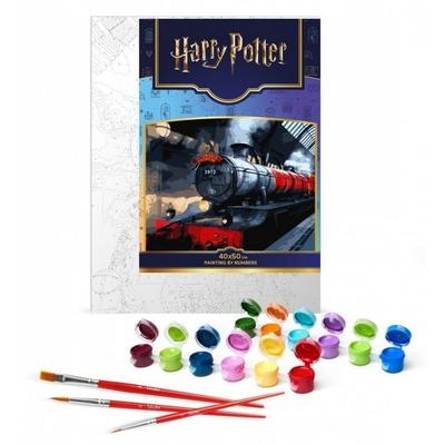 Harry Potter: Hogwarts Express 40x50 cm