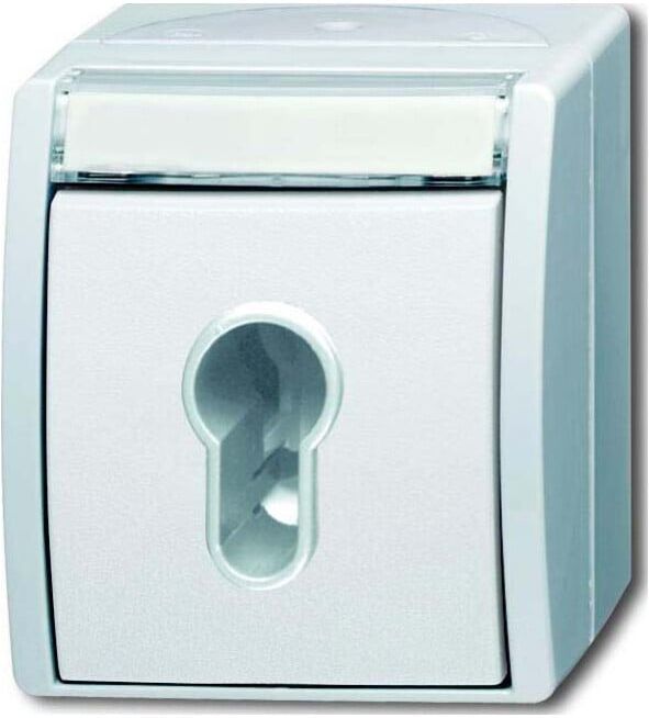 Busch-Jaeger Interrupteur à clé 2733 SLW-54 (2CKA001101A0925)
