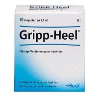 GRIPP-HEEL Ampullen 10 St
