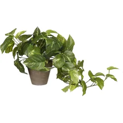 Mica Decorations, Kunstpflanzen, Pothos Kunstpflanze im Blumentopf Stan - H44 x Ø17 cm - Grün (44 cm)