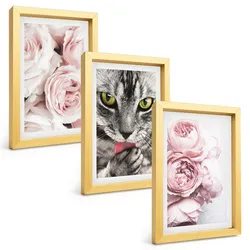 BILDER SET 3er Set - 20x30 cm Goldrahmen - Katze in rosa Blumen