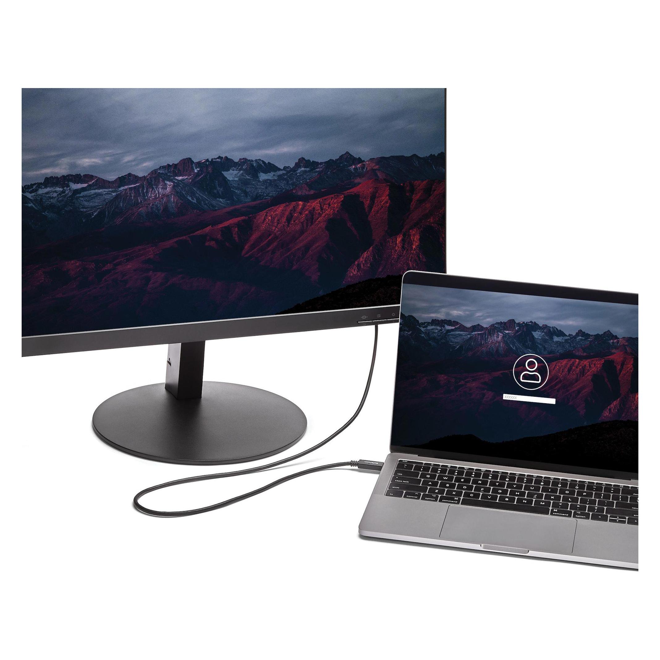 StarTech USB Typ C - DVI (2 m) (CDP2DVIMM2MB)