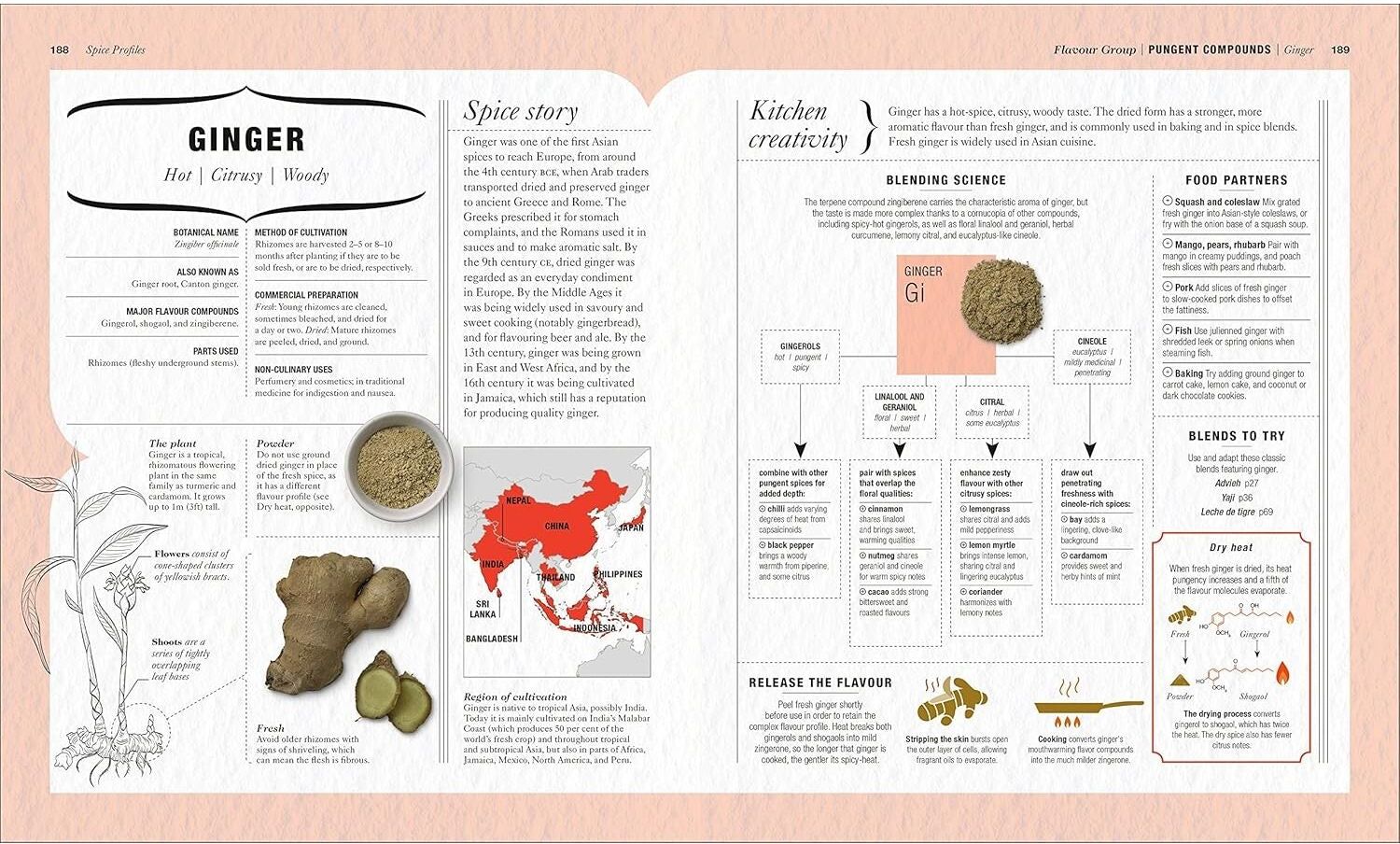 DK The Science of Spice: Understand Flavour Connections and Revolutionize your Cooking