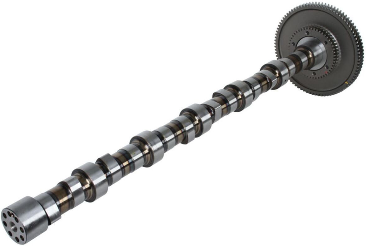 Nockenwelle BF 20100228762