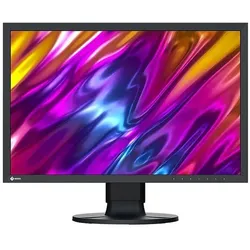 Eizo CS2400S ColorEdge (1920 x 1200 Pixel, 24.10"), Monitor, Schwarz