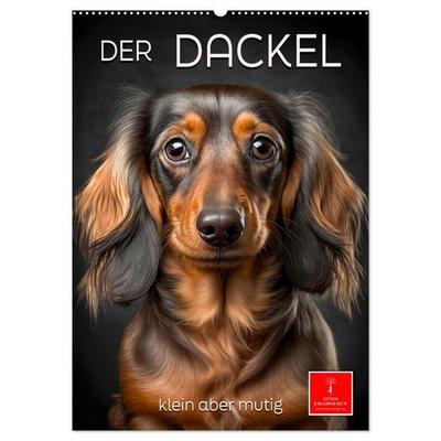 Der Dackel - klein aber mutig (Wandkalender 2027 DIN A2 hoch), CALVENDO Monatskalender
