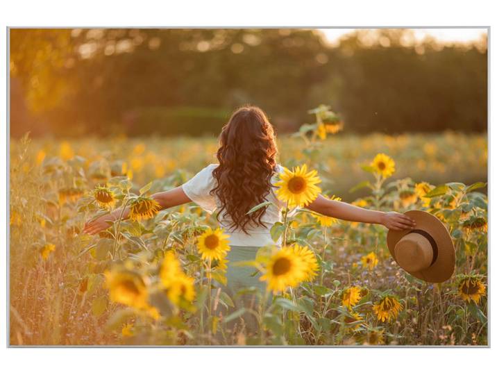 Bild mit Rahmen Mädchen im Sonnenblumenfeld image LAND