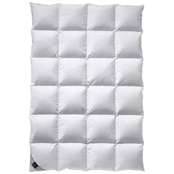 Billerbeck Nena Daunendecke Kassette II - 155x220cm