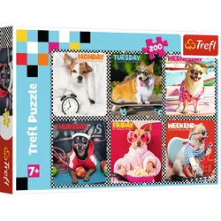 Puzzle - 200 - Glückliche Hunde - Trefl 13279
