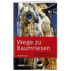 Wege zu Baumriesen, Sachbücher von Michel Brunner