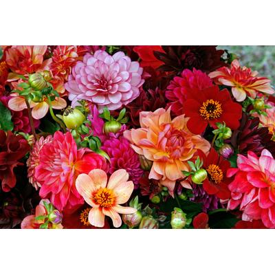 Papermoon "BUNTE BLUMEN-STRAUß-DEKOR MUSTER PFLANZE ORCHIDEE RETRO"