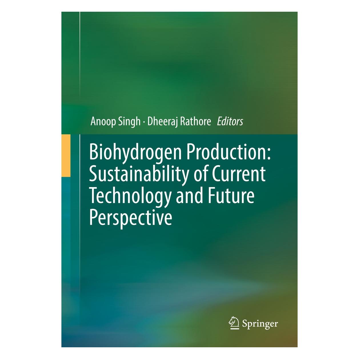 Springer Biohydrogen Production: Sustainability of Current Technology and Future Perspective (Englisch, Hardcover, Anoop Singh, Dheeraj Rathore) (9788132235750)