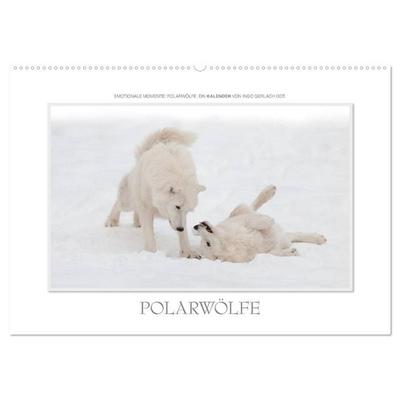 Emotionale Momente: Polarwölfe. / CH-Version (Wandkalender 2027 DIN A2 quer), CALVENDO Monatskalender