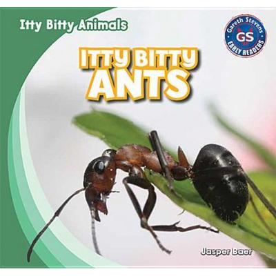 Itty Bitty Ants, Gebundene Ausgabe von Jasper Baer, Gareth Stevens Publishing Lllp, 978-1-4339-9874-4