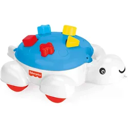 Dolu Turtle sorting toy