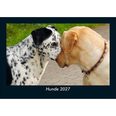 Hunde 2027 Fotokalender DIN A5