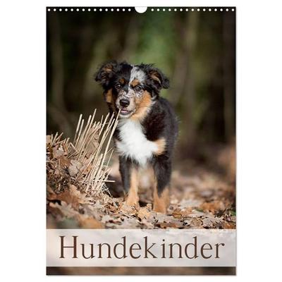 Hundekinder (Wandkalender 2026 DIN A3 hoch), CALVENDO Monatskalender