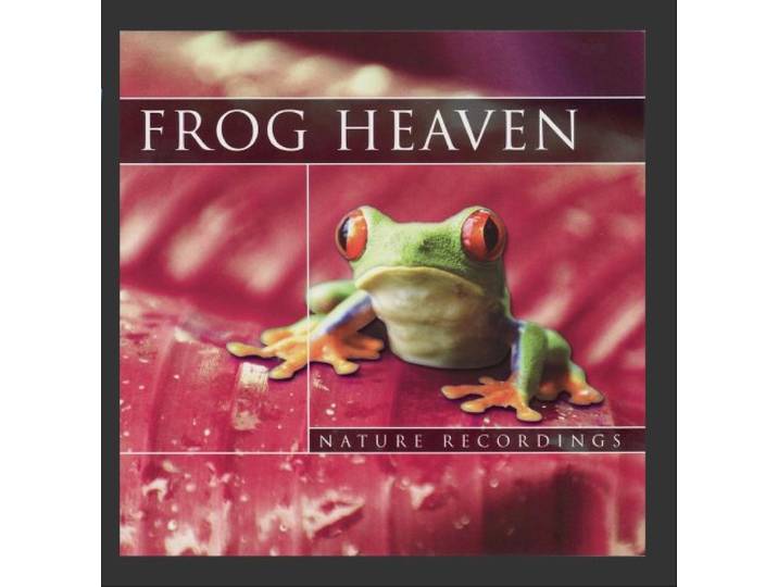 FROG HEAVEN-GLOBAL JOURNEY