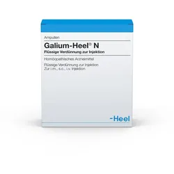Galium HEEL N Ampullen 100 St