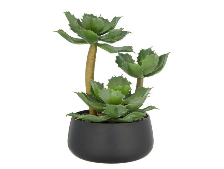 Kunstpflanze Echeveria 17 x 28 x 17cm