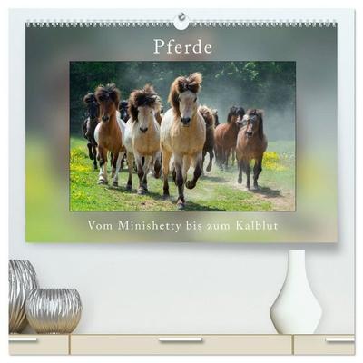 Pferde Vom Minishetty bis zum Kaltblut (hochwertiger Premium Wandkalender 2027 DIN A2 quer), Kunstdruck in Hochglanz