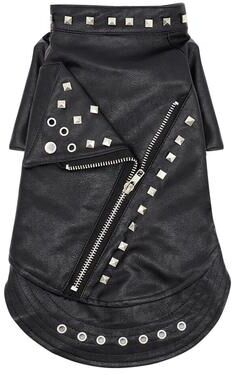 Happy Pet Pantry Leather Cat Jacket: Warm Pet Clothes For Autumn Winter M 1