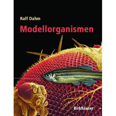 Modellorganismen, Taschenbuch von Ralf Dahm, Springer Basel, 978-3-7643-6770-1