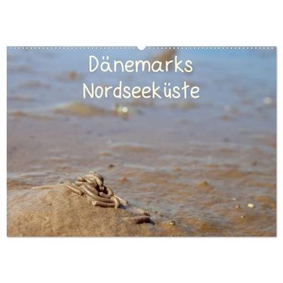 Dänemarks Nordseeküste (Wandkalender 2026 DIN A2 quer), CALVENDO Monatskalender