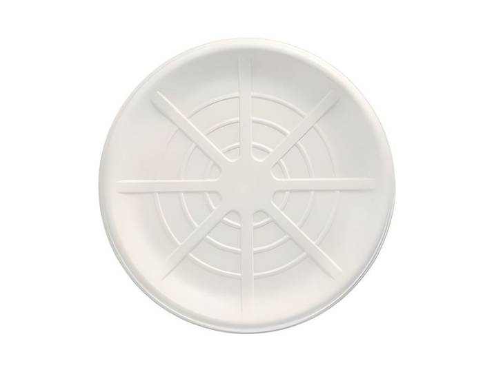 PAPSTAR Servierplatte 60 x Servierplatten Zuckerrohr pure rund Ø 35 cm weiss Meeresfrüchte, Zuckerrohr