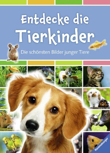 Emmanuelle Figueras - Entdecke die Tierkinder: Die schönsten Bilder junger Tiere - Preis vom 30.09.2026 22:30:23 h