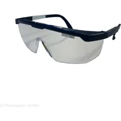 Bollé Safety Schutzbrille BL13 Visitor