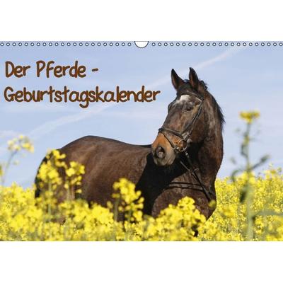 Pferde / Geburtstagskalender / AT-Version (Wandkalender immerwährend DIN A3 quer)