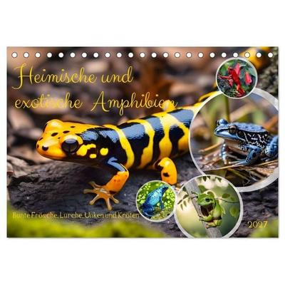Heimische und exotische Amphibien (Tischkalender 2027 DIN A5 quer), CALVENDO Monatskalender