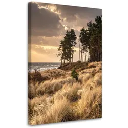LEINWANDBILD Natur und Botanik 30x45cm